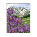 Wzór liczony 6077 Krokusy w górach