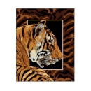 Wzór liczony 6081 Tygrys