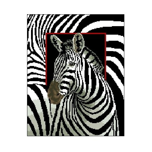 Wzór liczony 6083 Zebra