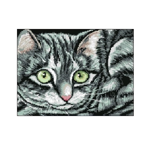 Wzór liczony 3034 Kot