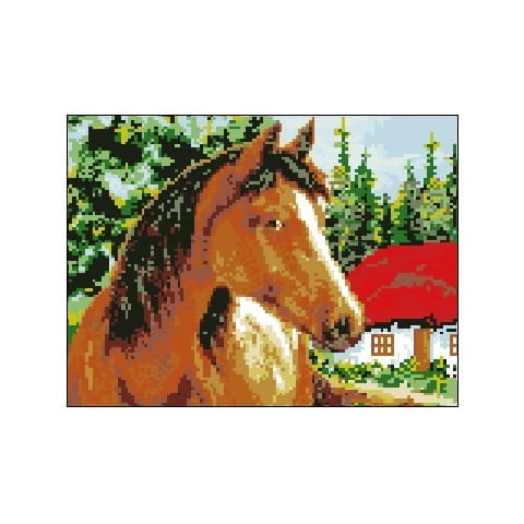 1057 Kanwa do haftu - Koń.jpg