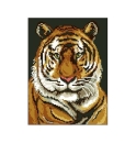Wzór liczony 1076 Tygrys