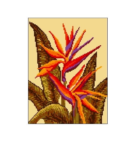 Wzór liczony 1110 Strelicja