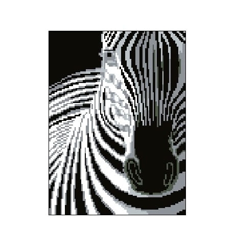 1122 Kanwa do haftu - zebra.jpg