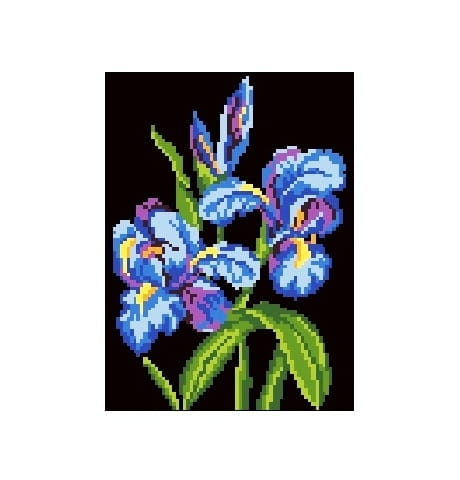 710 Kanwa do haftu - Irysy.jpg