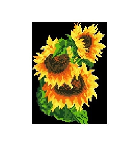 Kanwa 711 Słoneczniki