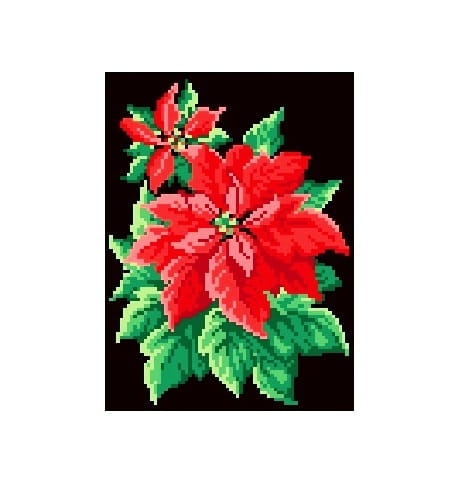 721 Kanwa do haftu - poinsencja, gwiazda betlejemska.jpg