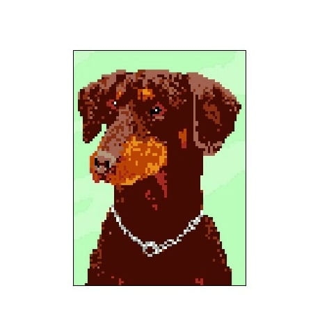 735 Kanwa do haftu - Pies.jpg