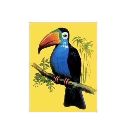 405 Kanwa do haftu -Tukan.jpg