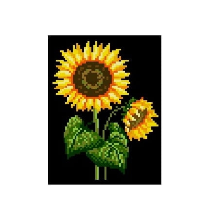 428 Kanwa do haftu - słonecznik 1.jpg