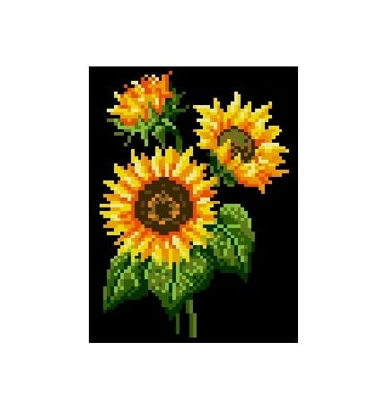 Kanwa 430 Słonecznik 3