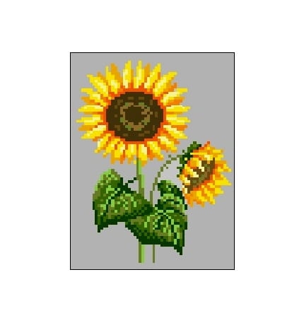 Kanwa 434 Słonecznik 1