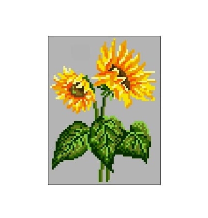 Kanwa 435 Słonecznik 2