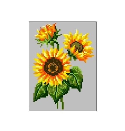 Kanwa 436 Słonecznik 3