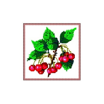 301 Kanwa do haftu - wiśnie.jpg