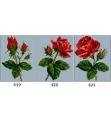 Kanwy do haftu 419-421 Róże