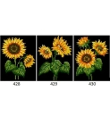 Kanwy do haftu 428-430 Słoneczniki