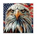 Kanwa 6938 Bielik amerykański